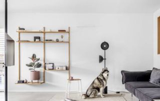 Tips to designing a pet-friendly home